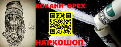 дмт Аргун