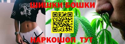 дмт Аргун