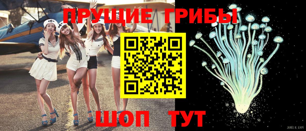Богданович  Псилоцибиновые грибы мицелий  Галлюциногенные грибы мухоморы  Вход с VPN 