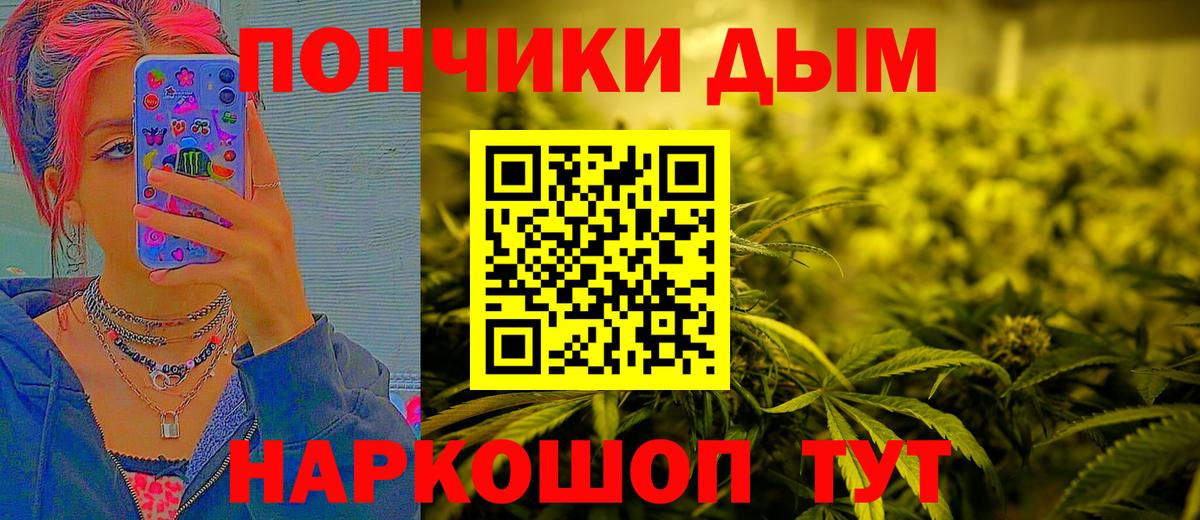 Шишки марихуана план Богданович